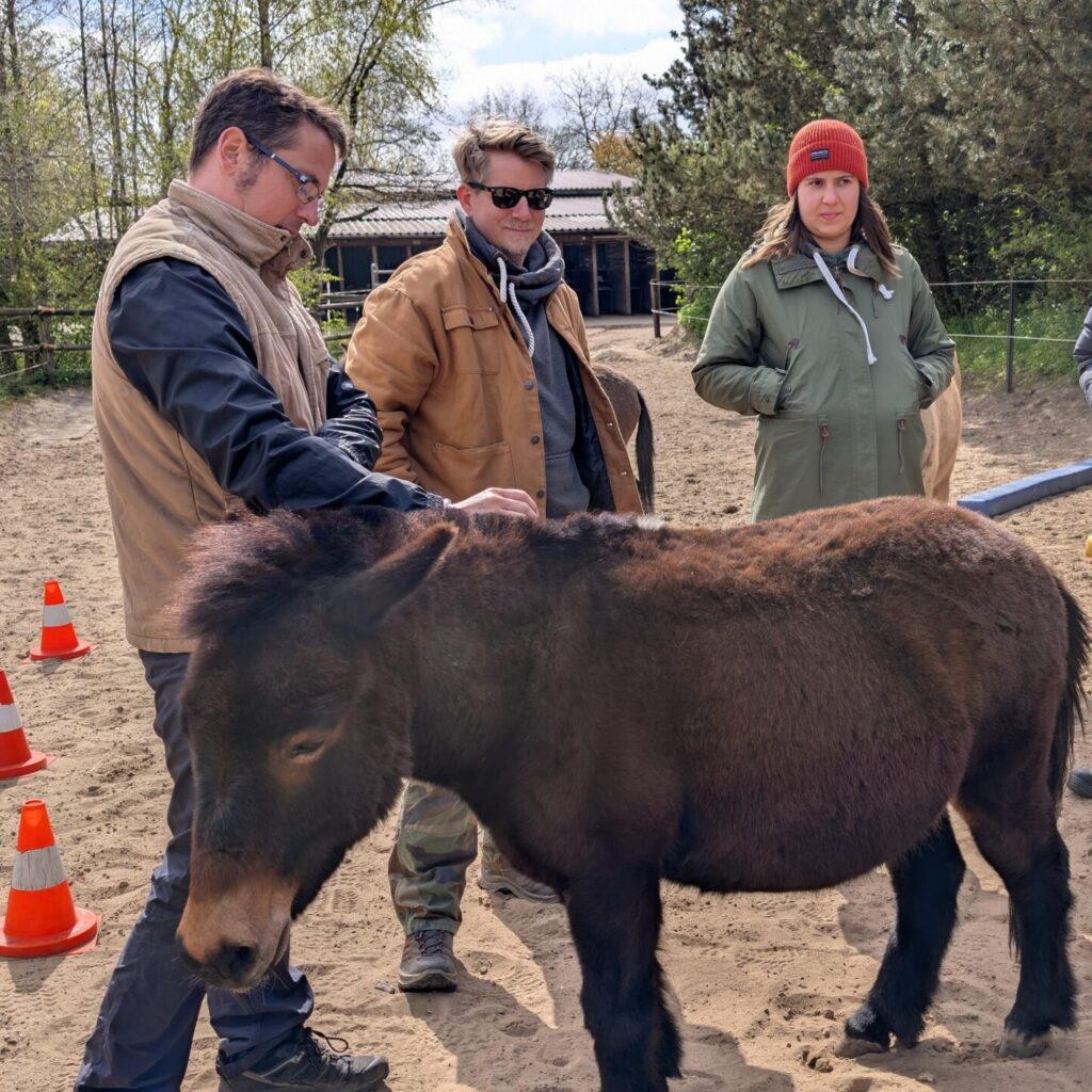 Ungesehen-Heilpädagogik-Beratung-Coaching-Tiergestützt-Elternberatung-Persönlichkeitsentwicklung.