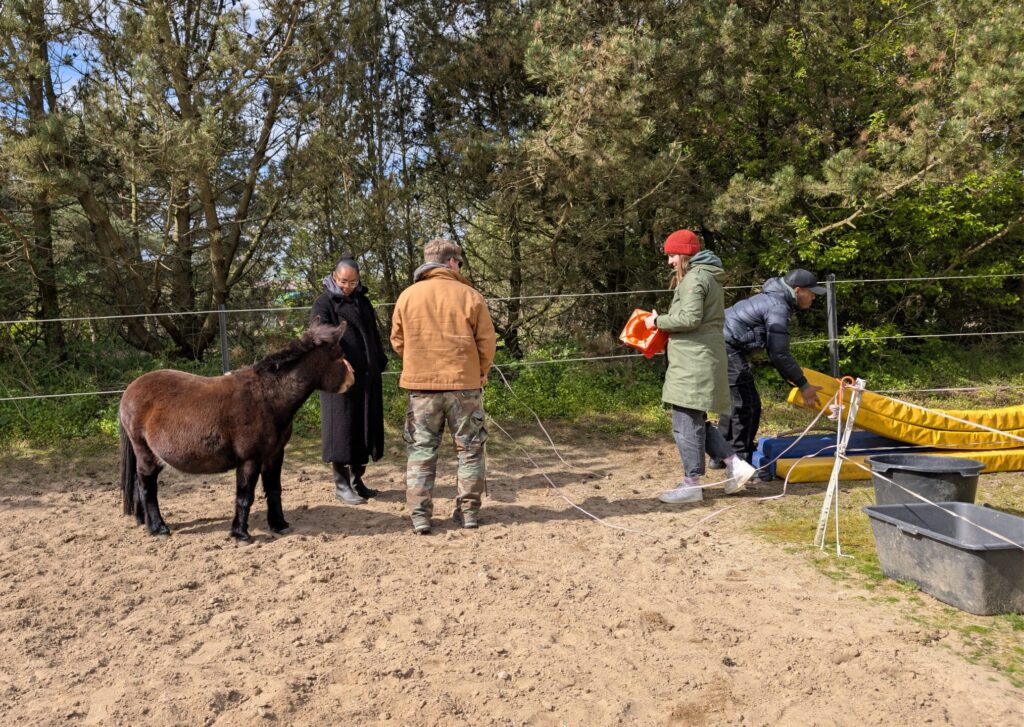 Ungesehen-Heilpädagogik-Beratung-Coaching-Tiergestützt-Elternberatung-Persönlichkeitsentwicklung.Fortbildungen