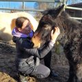 Ungesehen-Heilpädagogik-Beratung-Coaching-Tiergestützt-Elternberatung-Persönlichkeitsentwicklung.Fortbildungen