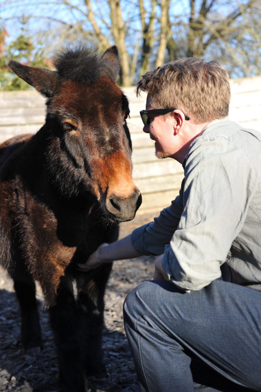Ungesehen-Heilpädagogik-Beratung-Coaching-Tiergestützt-Elternberatung-Persönlichkeitsentwicklung.Fortbildungen.teamsensibilisierung, Fallberatung