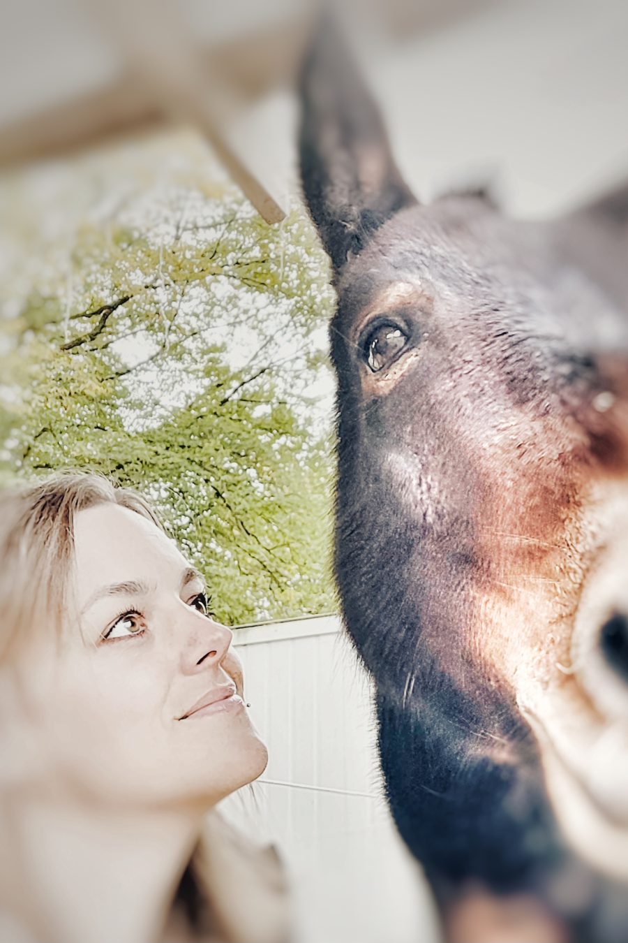 Ungesehen-Heilpädagogik-Beratung-Coaching-Tiergestützt-Elternberatung-Persönlichkeitsentwicklung