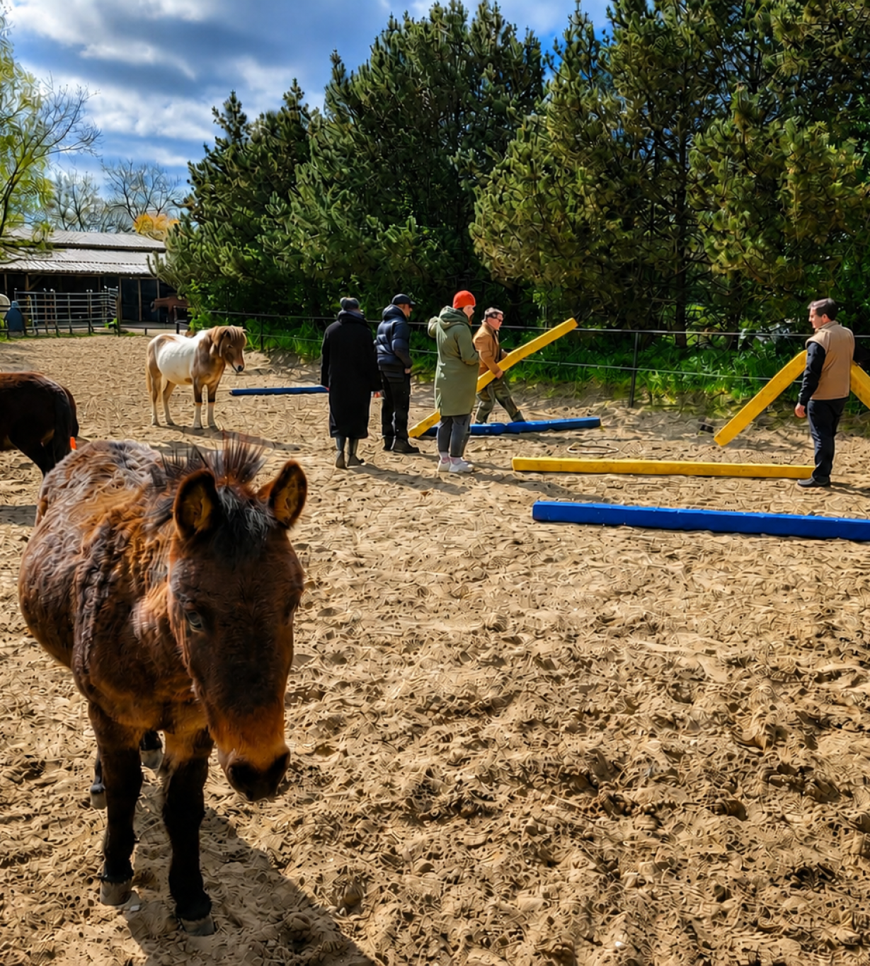 Ungesehen-Heilpädagogik-Beratung-Coaching-Tiergestützt-Elternberatung-Persönlichkeitsentwicklung.Fortbildungen